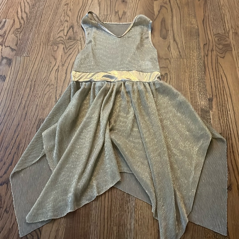 Gold Body Wrappers Mesh Dance Dress (adult S)